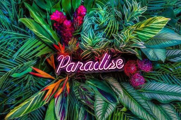 Paradise by Javiera Estrada